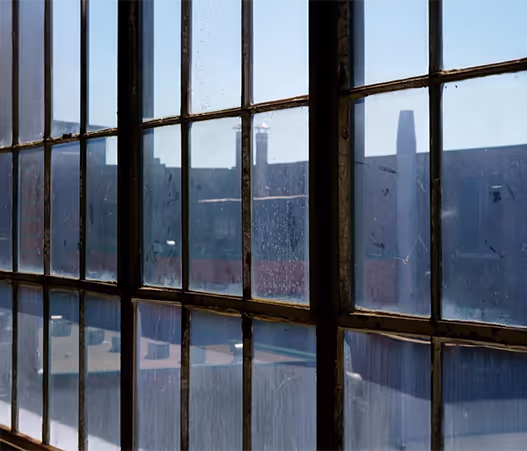 A close-up view of large industrial-style windows with sunlight shining through.
